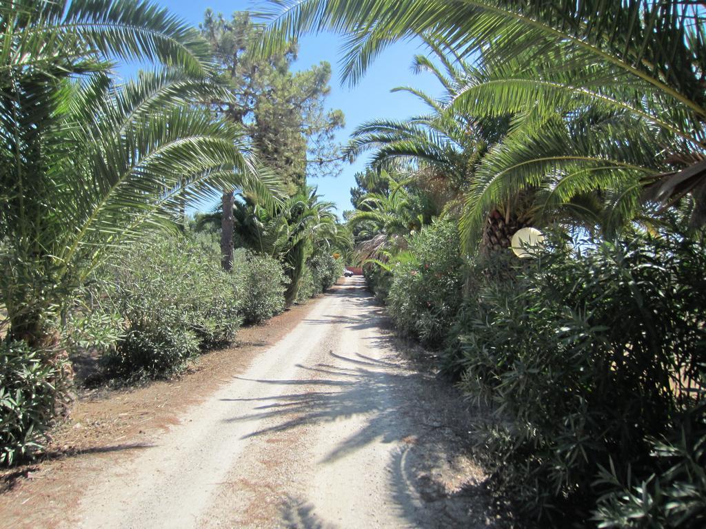 Le Ginestre Alghero Olmedo Exterior foto